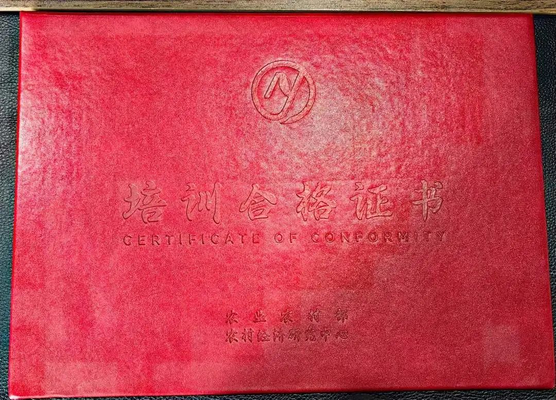 赋予空间想象，规划建设新模样——“乡村规...